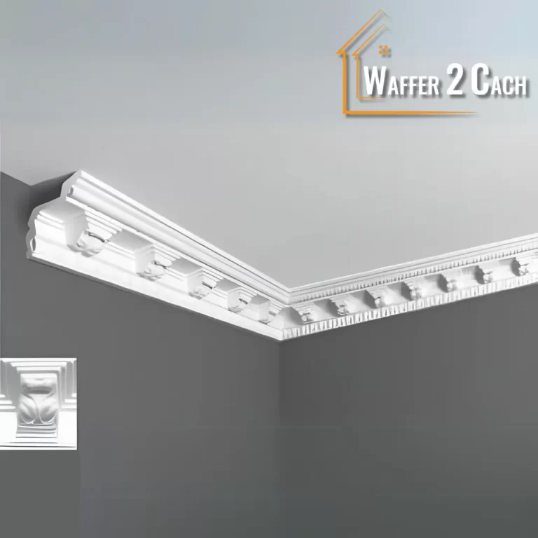 كرانيش الفيوتك K12